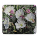 Suche nach primel Blumen