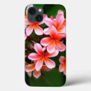 Suche nach blume foto Stilvoll
