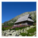 Suche nach tatra poster Berge