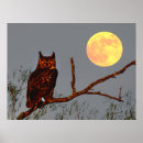 Suche nach uhu poster Vollmond