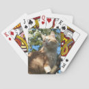 Suche nach verrückt spielkarten Katzen