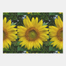 Suche nach sonne blume geschenkpapier Sommer