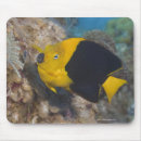 Suche nach bunte mousepads Meer