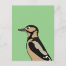 Suche nach specht postkarten Natur