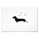 Suche nach wolf und mond poster Hunde