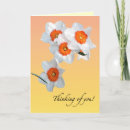 Suche nach amaryllis karten Orange