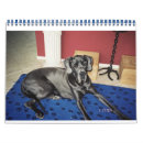 Suche nach deutsche büro zubehör Hund