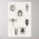 Suche nach enzyklopädie poster Illustration