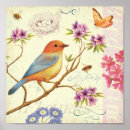 Suche nach vögel und bienen poster Tiere