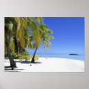 Suche nach tropische inseln poster Palm