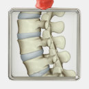 Suche nach körperteile ornamente Doktorbüroplakat