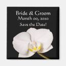 Suche nach orchideen magnete Weiß