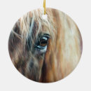 Suche nach horse ornamente Pony