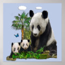 Suche nach lustige pandas poster Natur