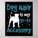 Suche nach haar poster Hund