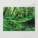 Suche nach tropischer regenwald postkarten Grün