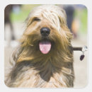 Suche nach aufwachen aufkleber Kamera betrachten