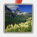 Suche nach logan ornamente Gletscher