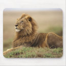Suche nach großkatzen mousepads Afrika