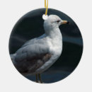 Suche nach seemöwen ornamente Vogel