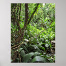 Suche nach reben poster Regenwald