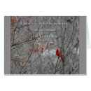 Suche nach rote tulpen postkarten Schrift