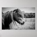 Suche nach schöne poster Weiß