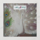 Suche nach peacock feather wedding einladungen Weiß