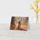 Suche nach yorkshire terrier karten Hund