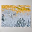 Suche nach espen poster Rocky mountain