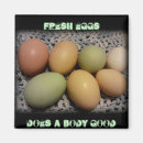 Suche nach körper magnete Gesund