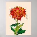Suche nach chrysanthemen poster Vintage blume