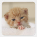 Suche nach wertvolles aufkleber Niedlich