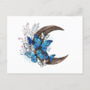 Suche nach blauer morpho schmetterling postkarten Schmetterlinge