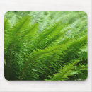 Suche nach farne mousepads Natur