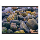 Suche nach steine poster Küste