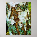 Suche nach flechten poster Natur