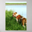 Suche nach grube poster Staffordshire