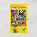 Suche nach garten visitenkarten Pflanze