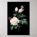 Suche nach rose schwarz poster Für sie