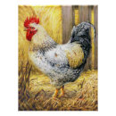 Suche nach scheune poster Barnyard