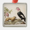 Suche nach humboldt ornamente Baron