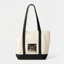 Suche nach shorthair Tabbykatze