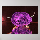 Suche nach samt poster Natur