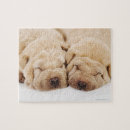 Suche nach welpe puzzle Natur