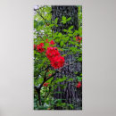 Suche nach rote blume poster Natur
