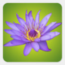 Suche nach seerose aufkleber Natur