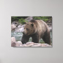 Suche nach grizzlybär leinwandbilder Tragen