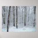 Suche nach schneeweiß poster Wald