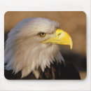 Suche nach kahl mousepads Maus
